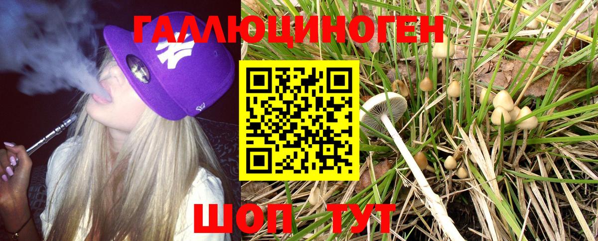 Галлюциногенные грибы Cubensis Алатырь